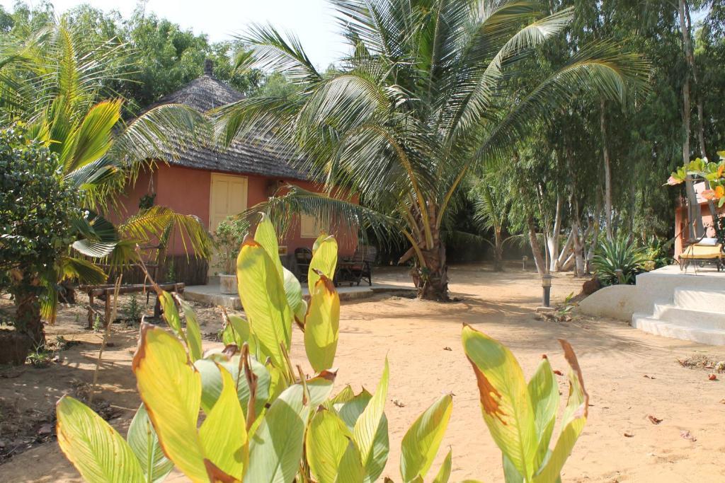 Lampsar Lodge Ndiongo Kültér fotó