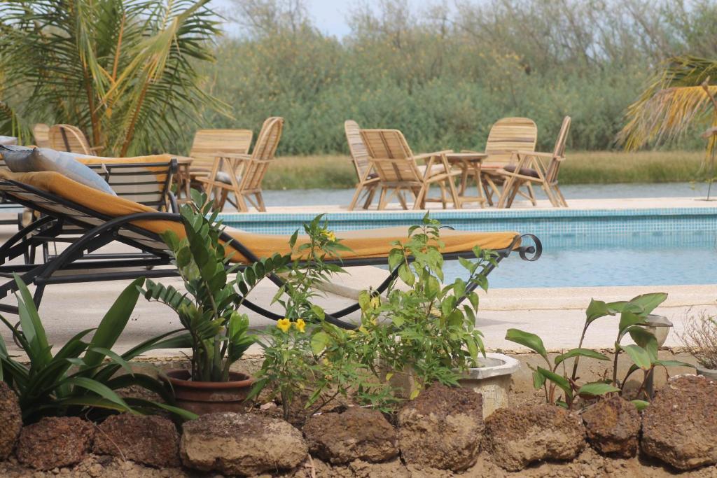 Lampsar Lodge Ndiongo Kültér fotó