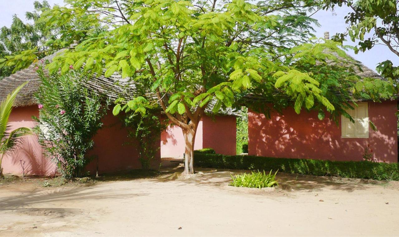 Lampsar Lodge Ndiongo Szoba fotó
